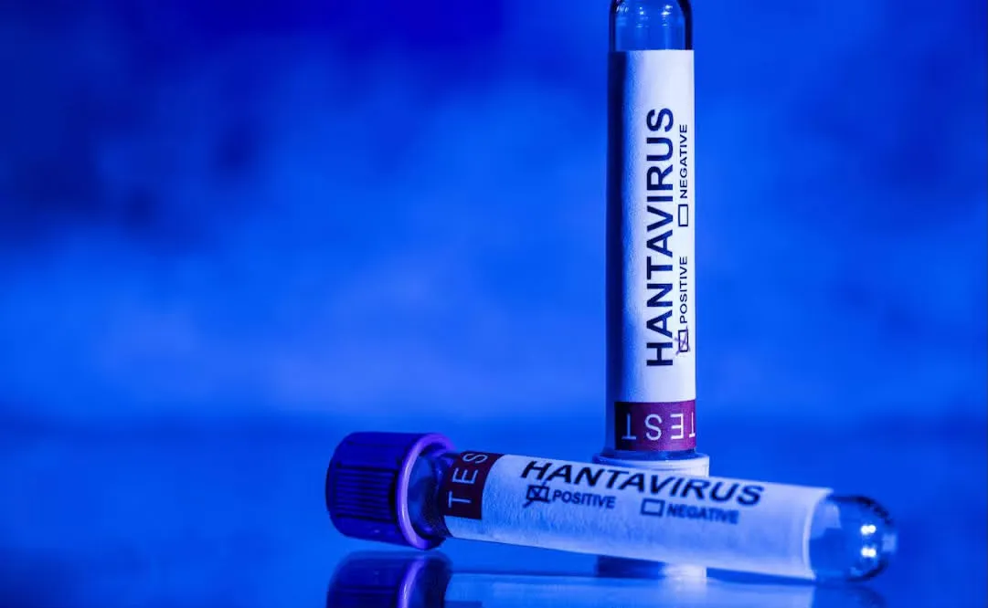 Chile declara alerta sanitaria preventiva por aumento de casos de hantavirus